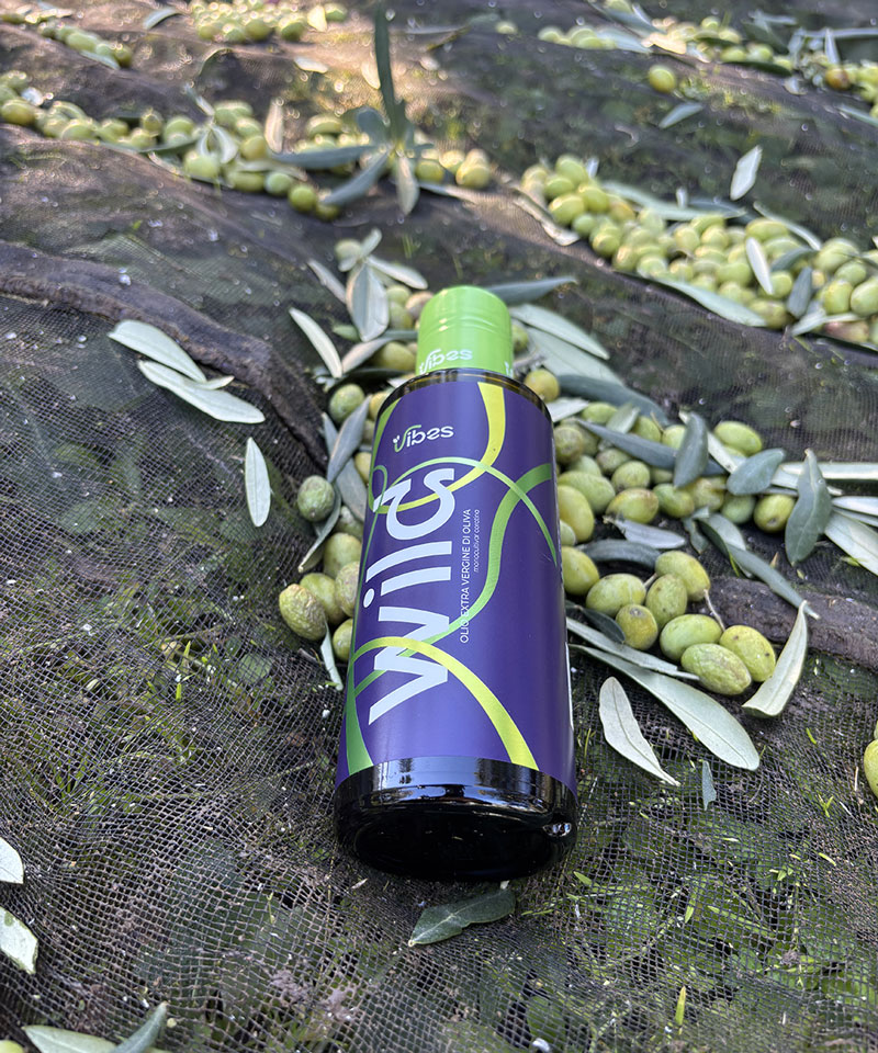 olio vibes about us wild bottle olives