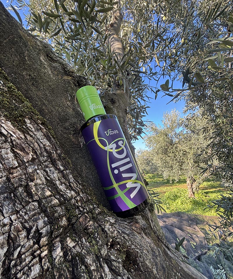 olio vibes who we are wild log